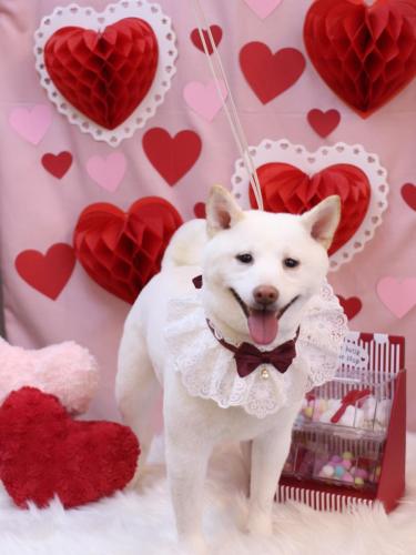 20240204もちちゃん